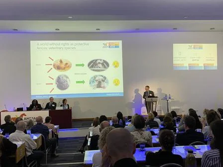 Steven McCulloch presenting at the conference.