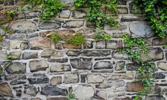 Stone Wall