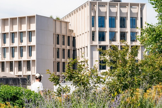 The Marshall Building, LSE Campus, surrounding by green foliage.