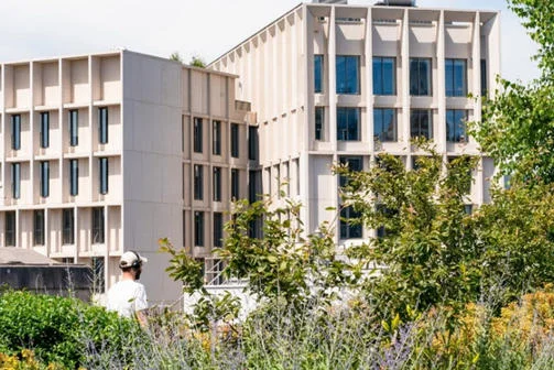 The Marshall Building, LSE Campus, surrounding by green foliage.