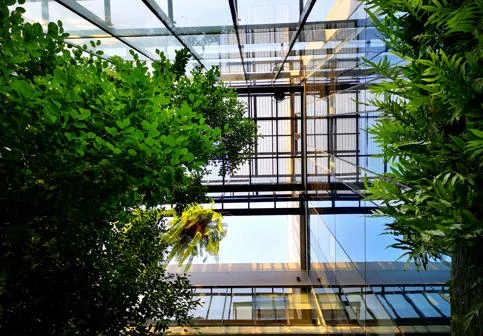 Glass building with greenery within