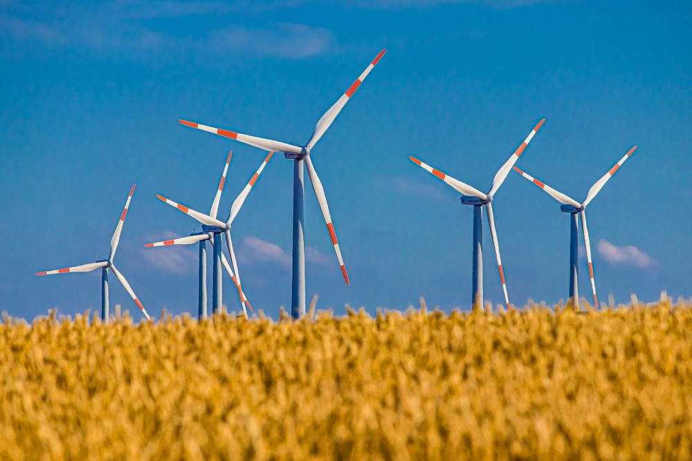 Windmills in front of a field