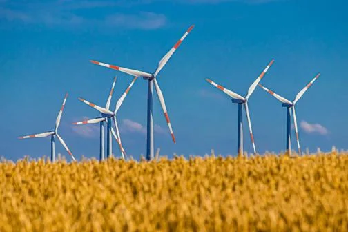 Windmills in front of a field