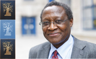 Thandika Mkandawire
