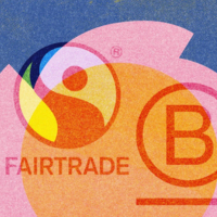 The green shoots of the new economy