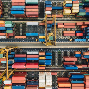 The Global Trading System in Crisis