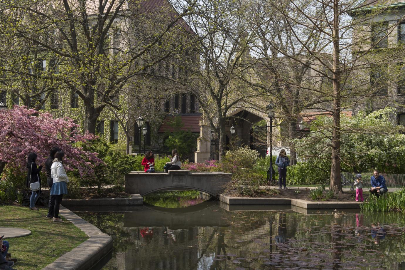 University of Chicago square with pond and trees in spring time