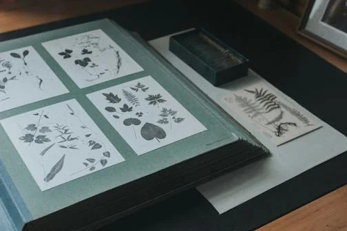 A book with diagrams of plants