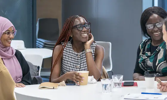 AFSEE Senior Fellows roundtable