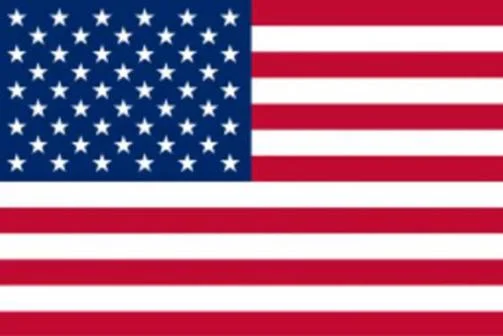 USE flag