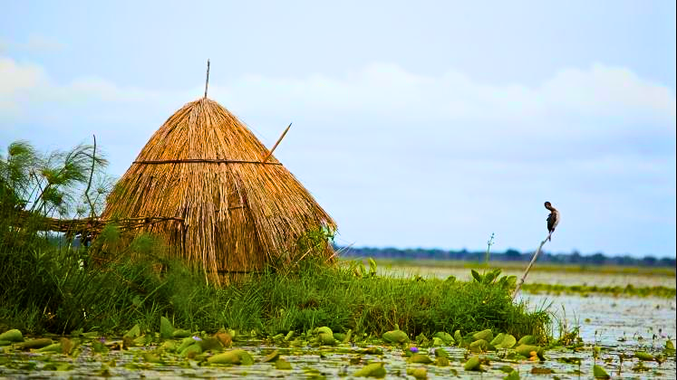 Vernacular Approaches to Land Holding in Acholi, Northern Uganda thumbnail