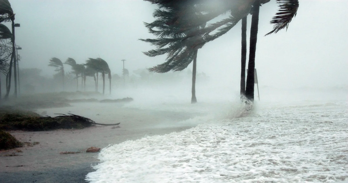 Hurricane