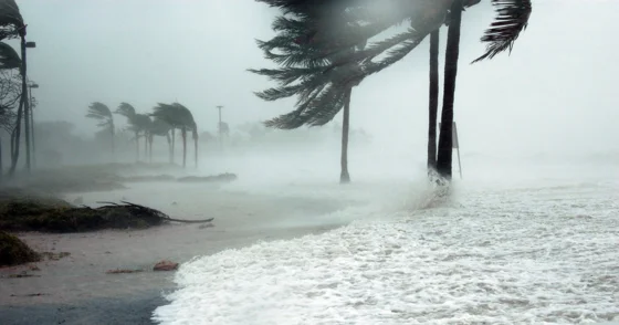 Hurricane