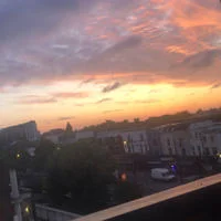 Why are things this way, 300x300