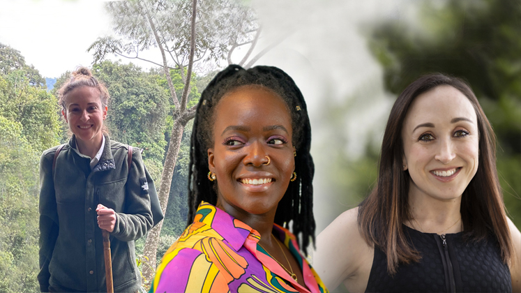 Collage of three profile images of the LSE alumnae who spoke to us for IWD 2023