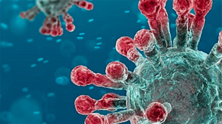 A 3d illustration of  coronvirus cells with red coloured spike pelomers