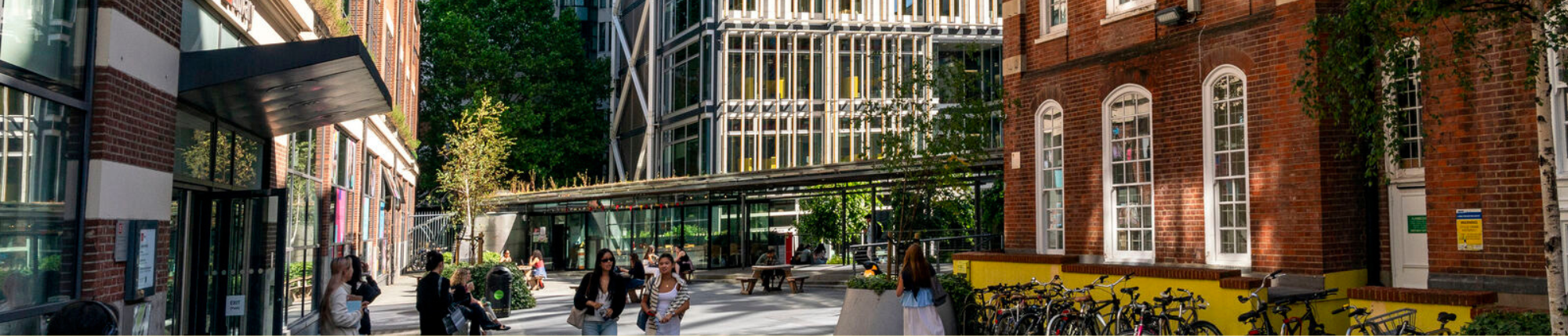 the times ranking banner