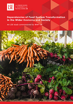 Wider Socioeconomic Food System Dependencies