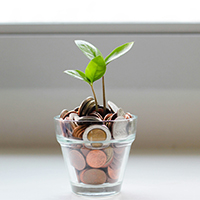 200x200-plant-money