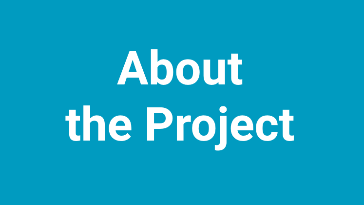 About the project