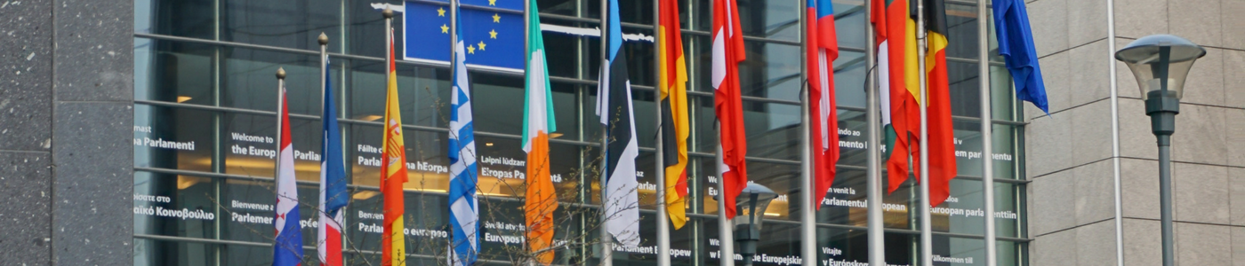 EU in practice banner 1400x300