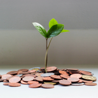 coins and plant