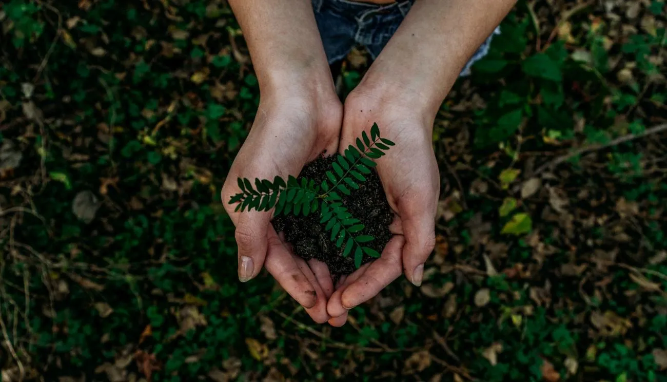 Hands holding leaves and soil