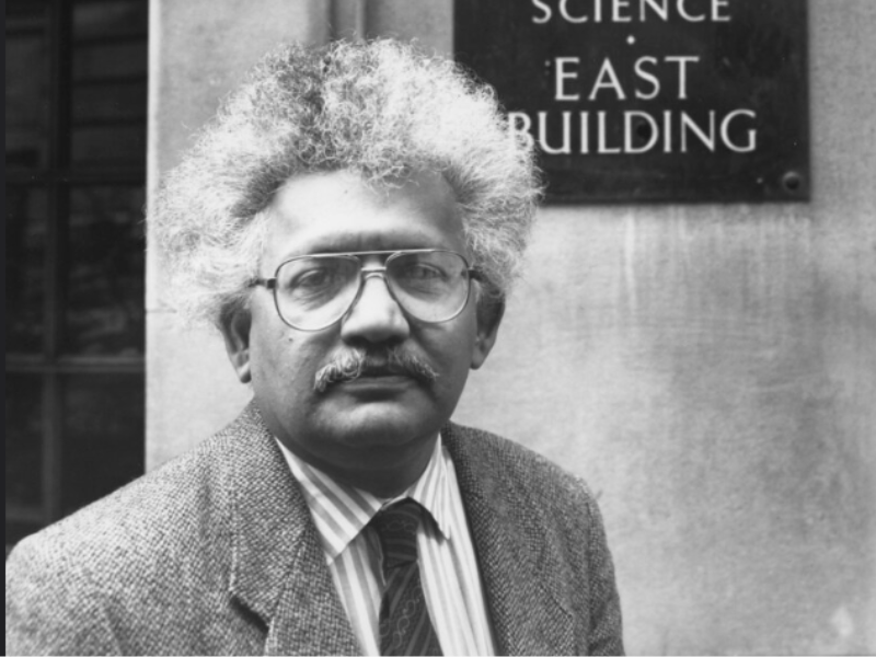 Meghnad Desai