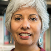 Professor Laura  Pulido 