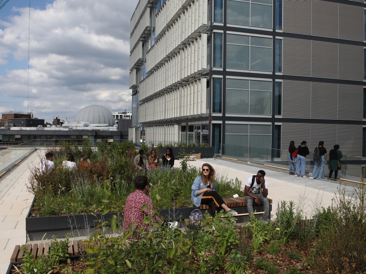 BSc Environment and Sustainable Development at LSE