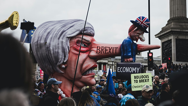 People protesting against Brexit with signs and placards.