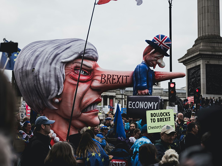 People protesting against Brexit with signs and placards.