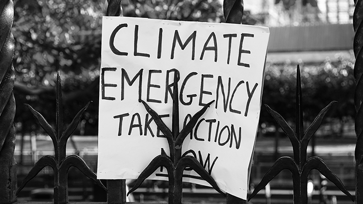 A placard stuck to the fence outside the UK Parliament during an environmental protest saying, "climate emergency take action now"