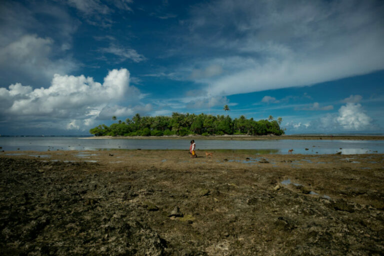 research paper on climate finance