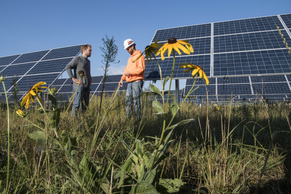 Home - Grantham Research Institute on climate change and the environment