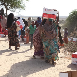 300x300_somaliafo-food-amisom