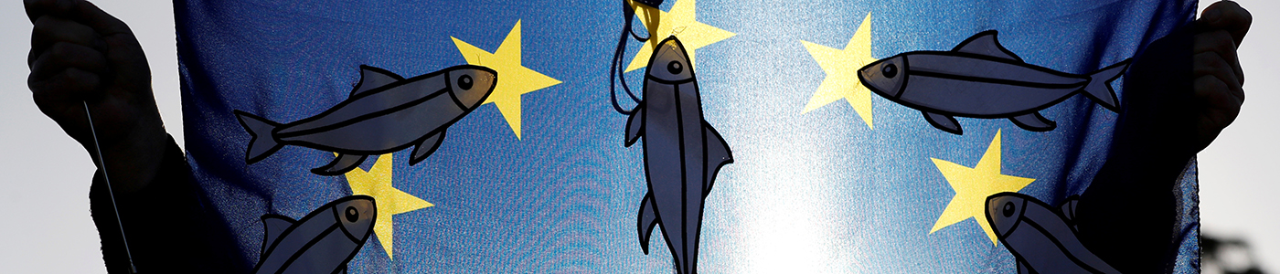 Insurgent Europeanism SCP banner