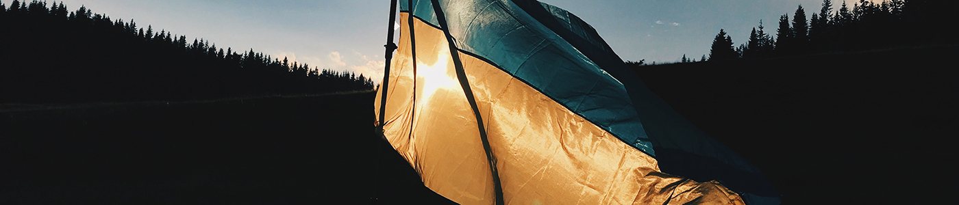 Ukraine flag SCP banner