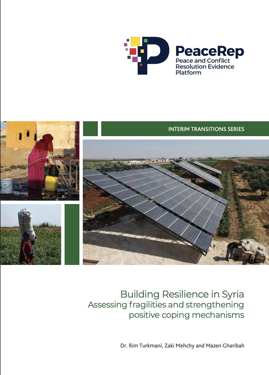 Building Resilience in Syria