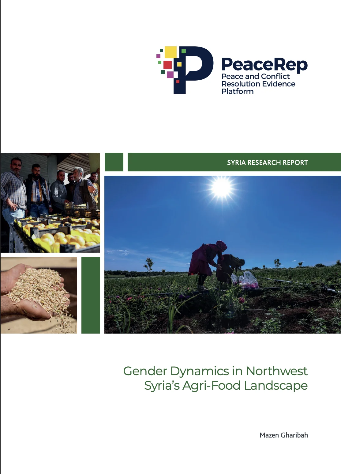 Gender Dynamics in Northwest Syria’s Agri-Food Landscape