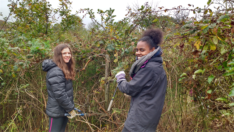 volunteers-clipping-smiling-16-9