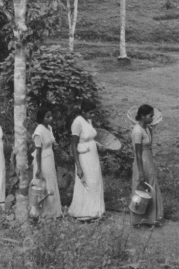 Women in Sri Lanka walking in a line together through a wooded area