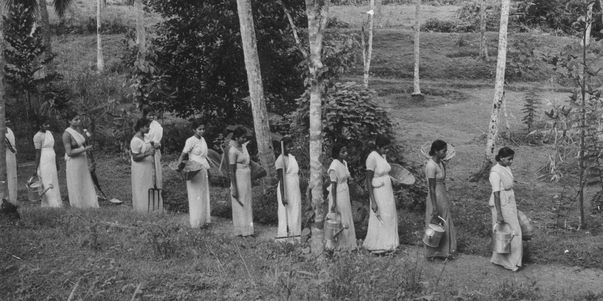 Women in Sri Lanka walking in a line together through a wooded area