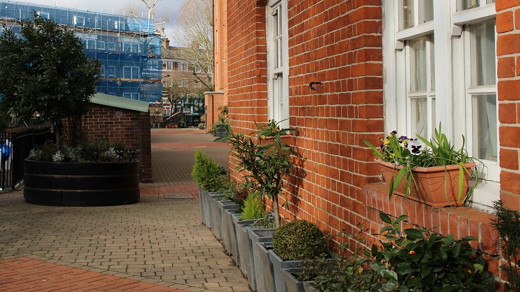 Street view at Millbank Estate