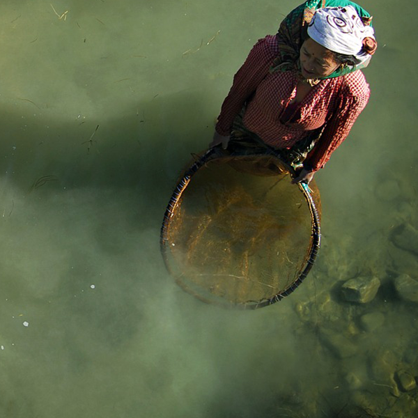 fishing-600x600