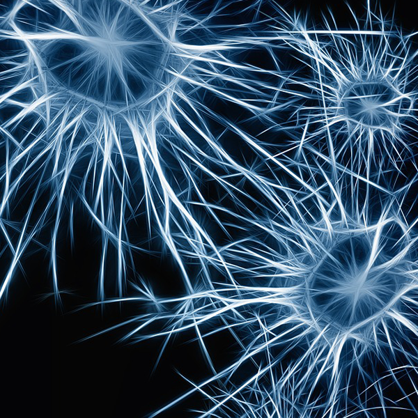 neurons-600x600
