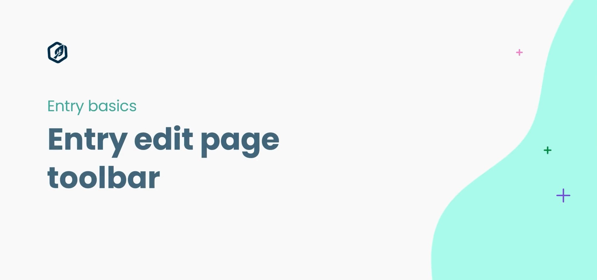 Understanding the Entry Edit Toolbar