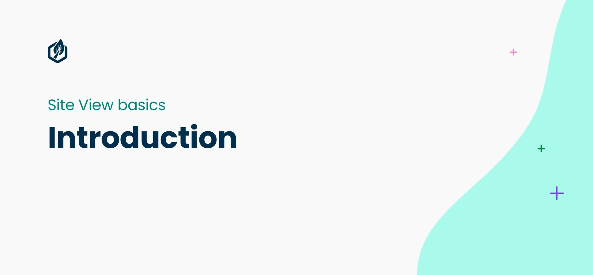 Introduction to Site View