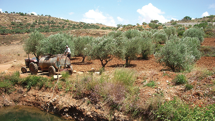 JordanBasinLandscape