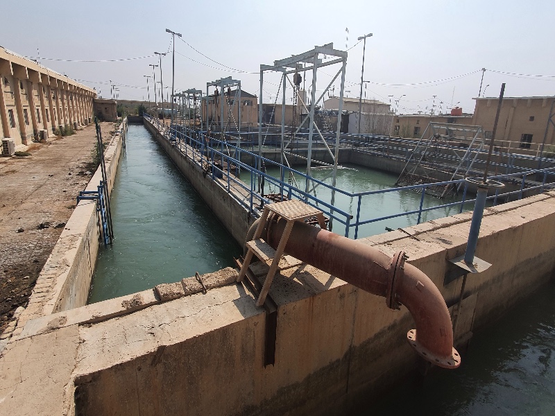 Basra-plant-800x600